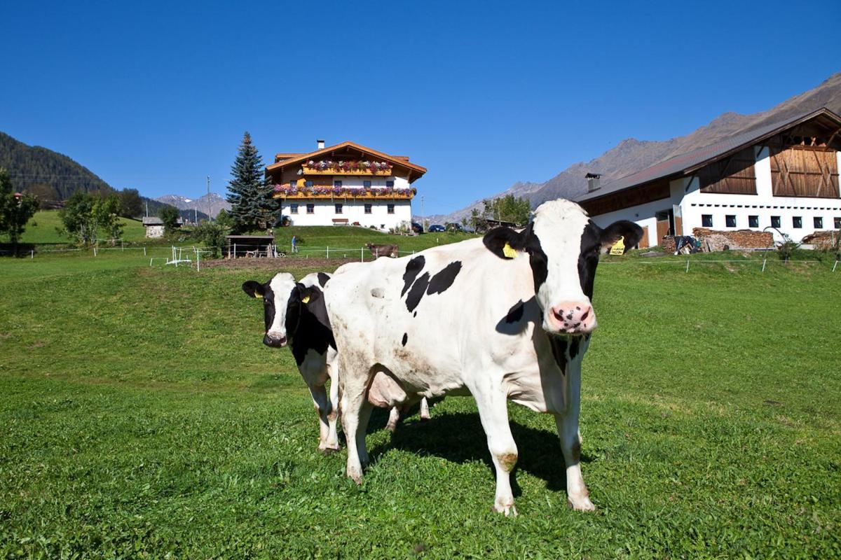 Schneiderhof, Chalet, Urlaub Auf Dem Bauernhof Ridanna Kültér fotó