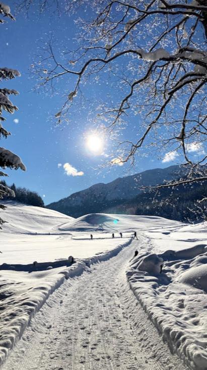 Schneiderhof, Chalet, Urlaub Auf Dem Bauernhof Ridanna Kültér fotó